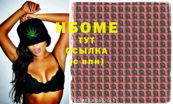 индика Баксан