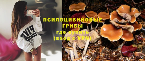 не бодяженный Балахна
